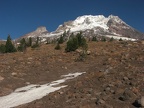 As you follow the Palmateer trail higher and higher the trees get smaller and smaller.