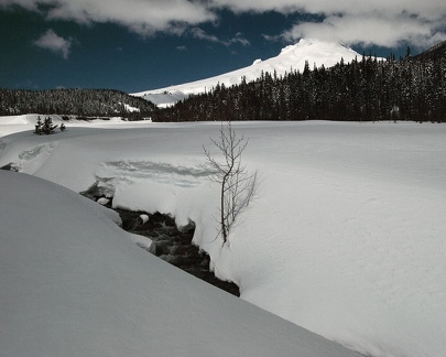 Snowshoe01