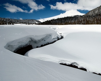 Snowshoe03