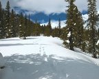 Snowshoe04