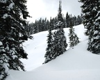 Snowshoe09