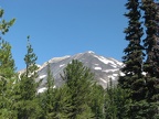 Mt. Adams from Trail 183 where it intersects with Trail 9.