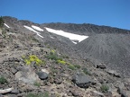 Flowers are sparse along the trail to Lunch Counter. Here you can see how the ground is a rocky mix of sand, pebbles, rocks, and boulders.