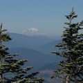 Mt. Rainer can easily be seen in the distance from a panoramic viewpoint along the Mt. Defiance Trail.