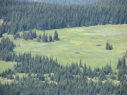 Looking down from Mt. Fremont down to Grand Park. The Northern Loop trail can be seen on the left.