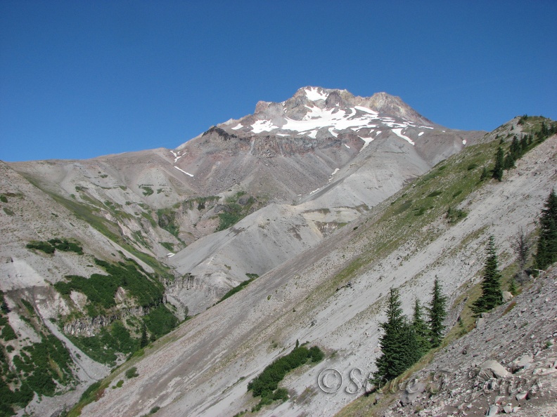 Mt. Hood from the south edge of Zigzag Canyon. From here the Timberline Trail descends to cross the creek.