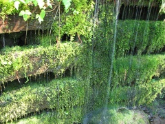 Water trickles down a moss-covered retaining wall descending down to Zigzag River.