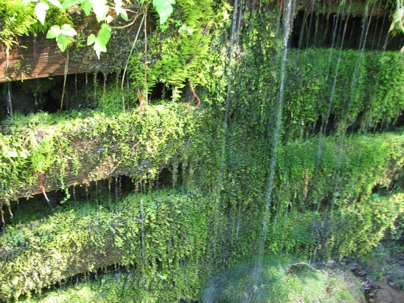 Water trickles down a moss-covered retaining wall descending down to Zigzag River.