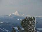 Mt. Jefferson from Mt. Hood