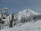 Rime ice with Mt. Hood in the background