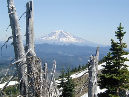 Mt Adams3