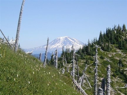 Mt Adams4