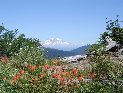 Mt Rainier1