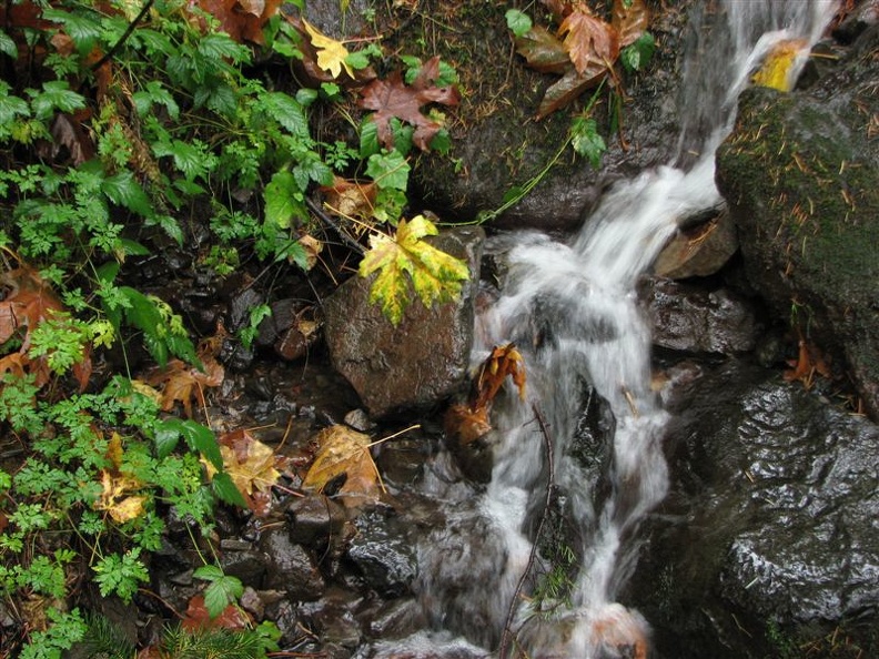 A few small streams cross trail #400 between Multnomah Falls and Oneonta Creek.