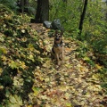 Jasmine shows what the better parts of the trail look like. Other sections of the trail are rougher than this.