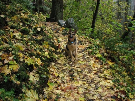 Jasmine shows what the better parts of the trail look like. Other sections of the trail are rougher than this.