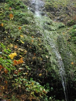 A small waterfall cascades down just above the the Gorge Trail.