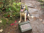 Jasmine sits in front of a small memorial dedicated to Glenn Replogle who fell from the cliffs and died. This is located just west of Ponytail Falls along the clifs.