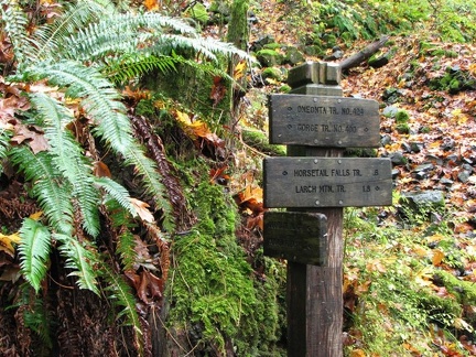 Look for this trail sign to return to Trail #400 and back to Multnomah Falls. This sign is about .2 mile west of the Oneonta Tunnel.