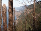 Viewpoint overlooking the Columbia River Gorge