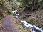 Wahkeena Creek Trail