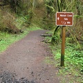 Trailhead sign for Munson Creek Falls. This is a typical view of the trail to Munson Creek Falls.