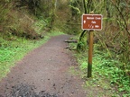 Trailhead sign for Munson Creek Falls. This is a typical view of the trail to Munson Creek Falls.