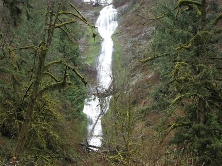 Munson Creek Falls cascades 319 feet down a cliff at the head of the valley. This is the tallest waterfall in the Coast Range.