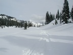 Snowshoe trail on the Stevens Canyon Road