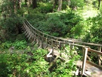 Suspension bridge over Short Sand Creek at Oswald West State Park. This is the beginning of the lower Neahkahnie Mountain Trail.