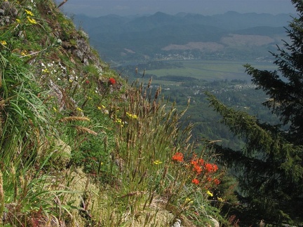 Grasses and Indian Paintbrush carpet the uppermost slope of Neakahnie Mountain. This is looking southeast into the Nehalem River valley.