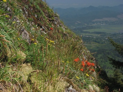 Looking southeast from near the summit of Neahkahnie Mountain. This is a veiw into the Nehalem River valley.