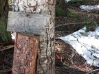 Trail sign showing the direction to Nesmith Point