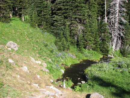 Heading down through Berkeley Park we pass my favorite spring where I always fill up on the wonderful water. No need to filter here. Most people miss seeing this is a spring.