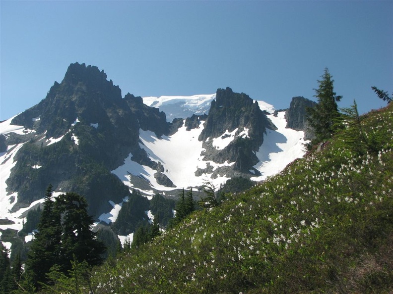 Mt. Rainier is the white mass in back of Sluiskin Mountain. A sloping field of avalanche lillies decorate the nearby hillside.