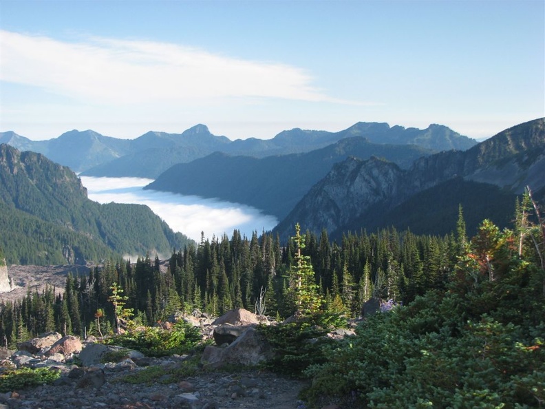 Fog lies in the Carbon River valley as the morning sun rises.