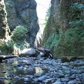 Oneonta Gorge