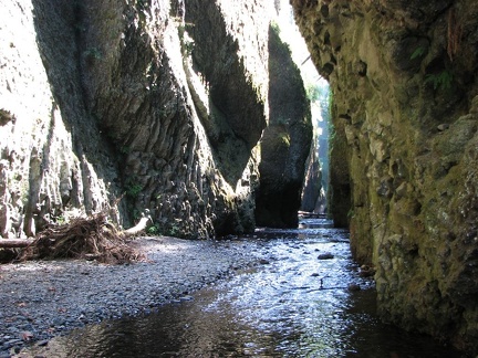 Oneonta Gorge