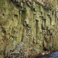 Basalt in Oneonta Gorge