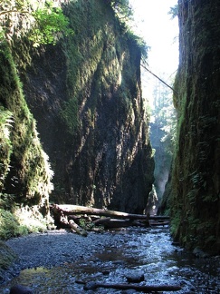 Oneonta Gorge