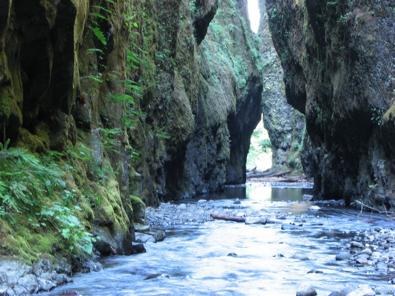 Oneonta Gorge looking towards the trailhead.