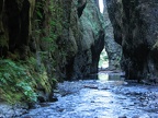 Oneonta Gorge looking towards the trailhead.