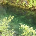 Emerald waters of Little North Santiam River.