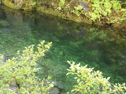 Emerald waters of Little North Santiam River.