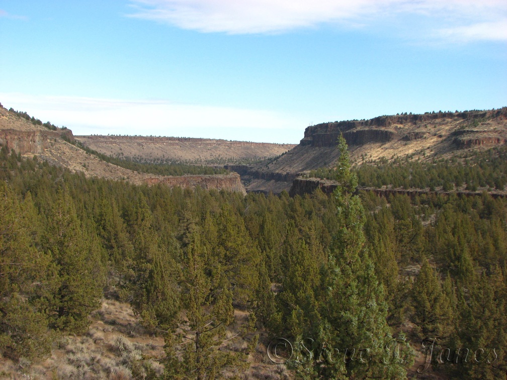 Looking downriver on the Otter Bench Trail shows the near-desert scenery of the area. The wide-open spaces make for a tranquil hike.