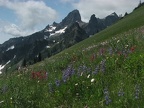 Meadows of lupines and Indian Paintbrush frame the Cowlitz Chimneys above the Owyhigh Trail.