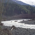 A nice surprise awaited us on the Elwha River, Elk just hanging out.  To bad nobody had a zoom lens with them.
