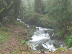 A nice little stream along the road to the trailhead.