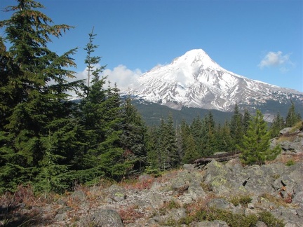 The rocky rockfields around the top keep the trees from growing and provide a great viewpoint.