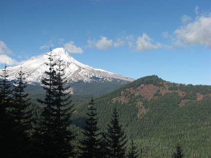 Mt. Hood pokes holes in the sky and makes puffy little clouds on a spectacular fall day on the Palmateer Point View Trail.